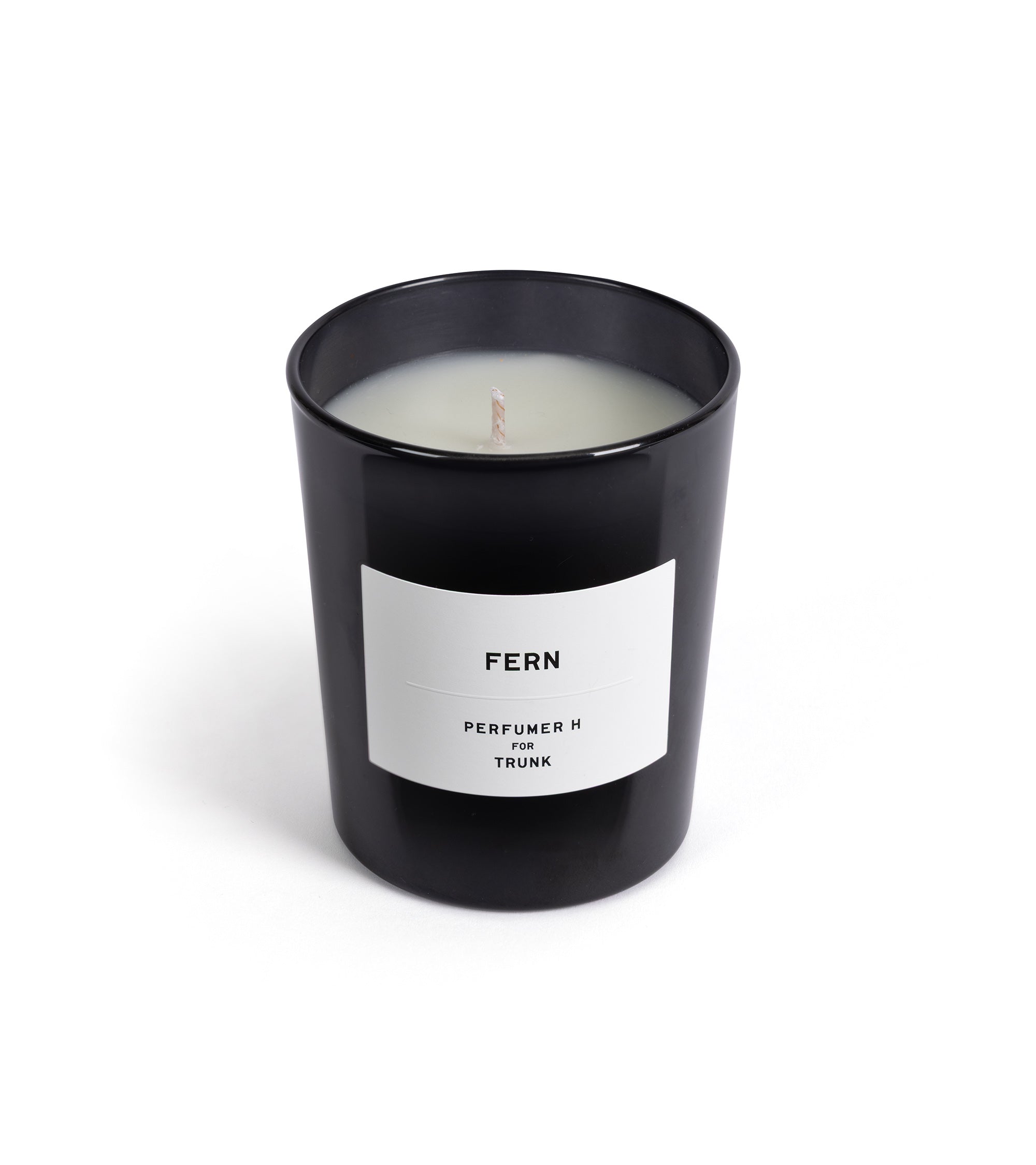 Perfumer H for Trunk Utility Candle (175g): Fern